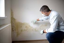 Best Biohazard Mold Removal  in Newington Forest, VA